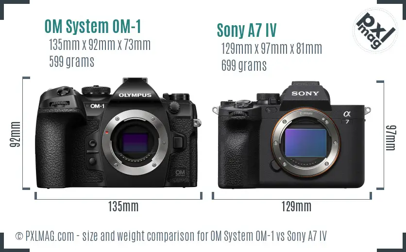 OM System OM-1 vs Sony A7 IV size comparison
