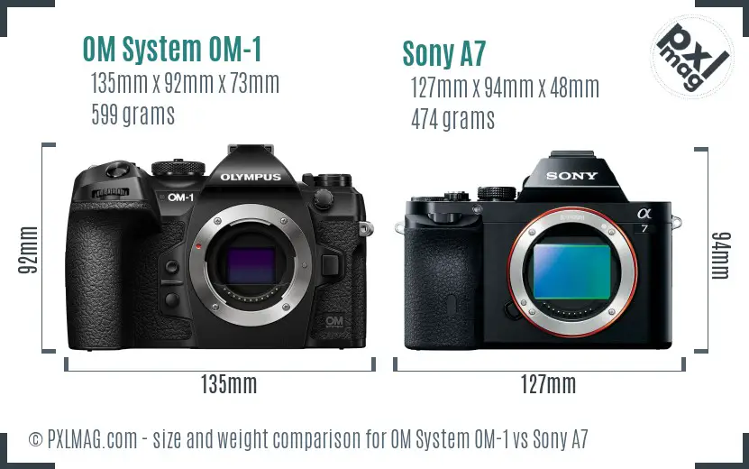 OM System OM-1 vs Sony A7 size comparison