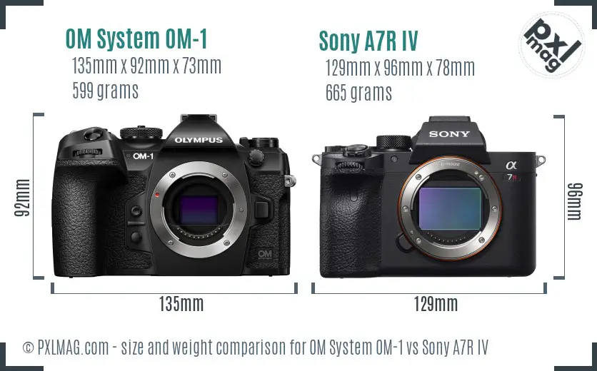 OM System OM-1 vs Sony A7R IV size comparison