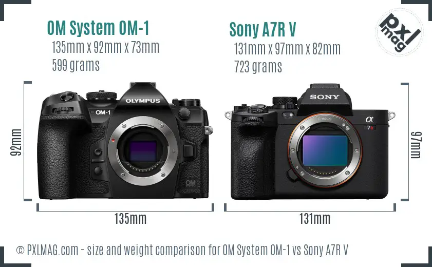 OM System OM-1 vs Sony A7R V size comparison