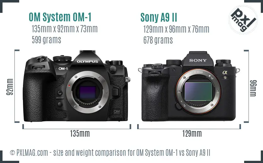 OM System OM-1 vs Sony A9 II size comparison