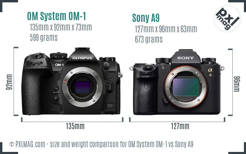 OM System OM-1 vs Sony A9 size comparison