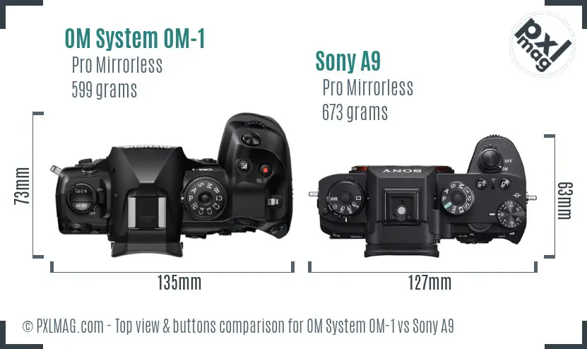 OM System OM-1 vs Sony A9 top view buttons comparison