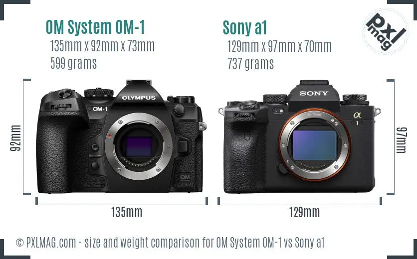 OM System OM-1 vs Sony a1 size comparison