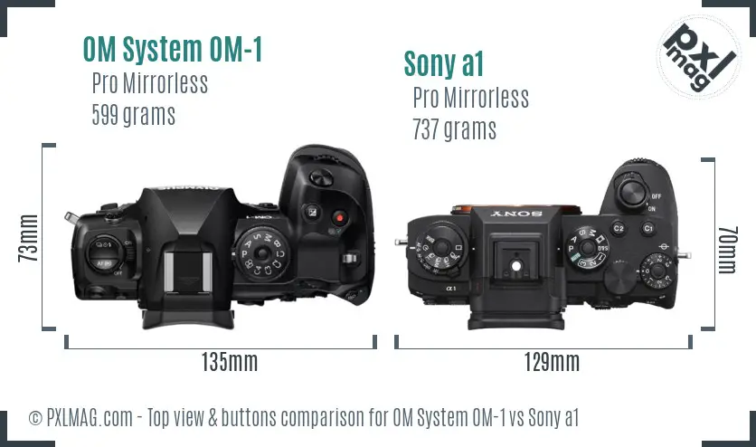 OM System OM-1 vs Sony a1 top view buttons comparison