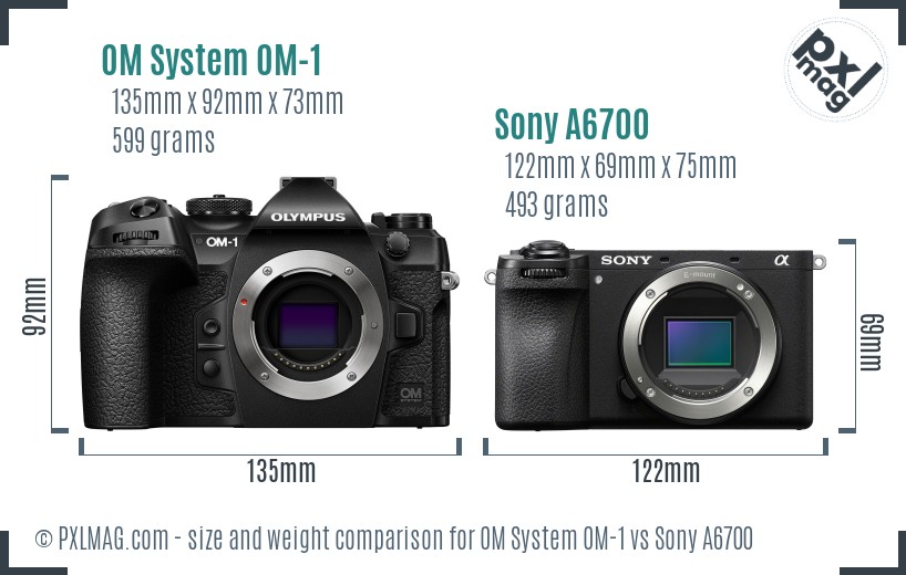 OM System OM-1 vs Sony A6700 size comparison