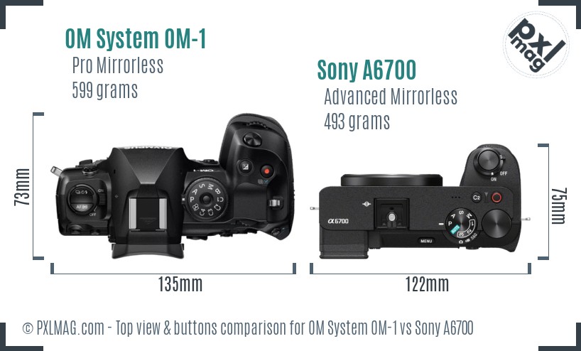 OM System OM-1 vs Sony A6700 top view buttons comparison