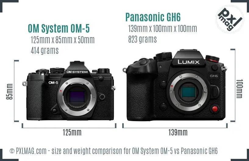 OM System OM-5 vs Panasonic GH6 size comparison