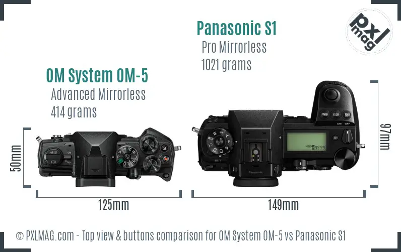 OM System OM-5 vs Panasonic S1 top view buttons comparison OM System OM-5 vs Panasonic S1 top view buttons comparison