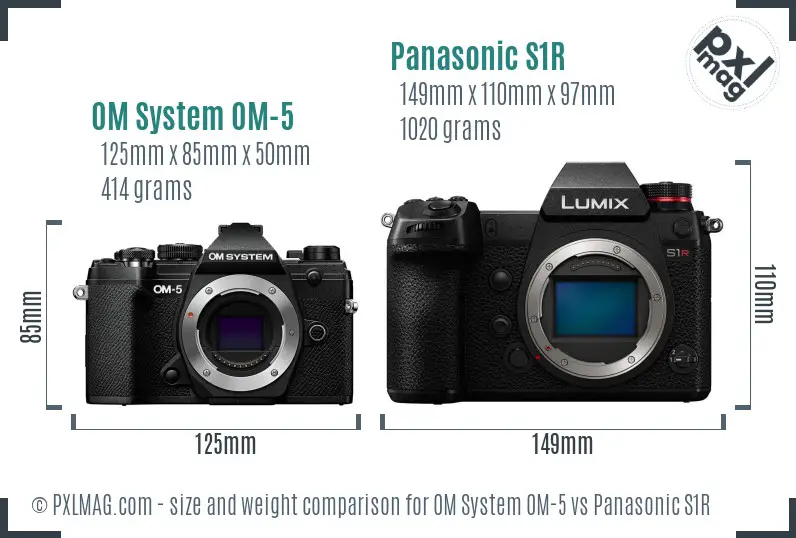 OM System OM-5 vs Panasonic S1R size comparison