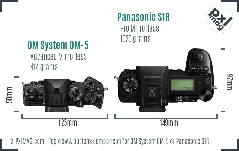 OM System OM-5 vs Panasonic S1R top view buttons comparison