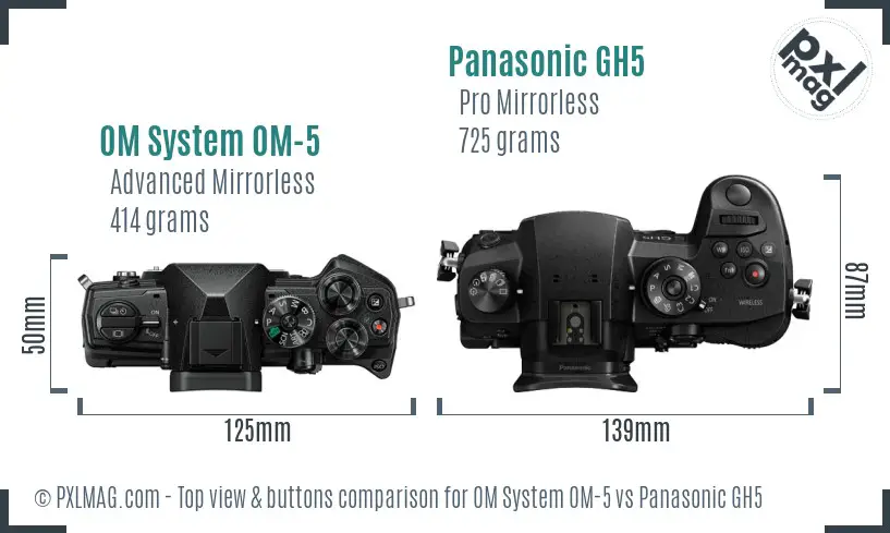 OM System OM-5 vs Panasonic GH5 top view buttons comparison