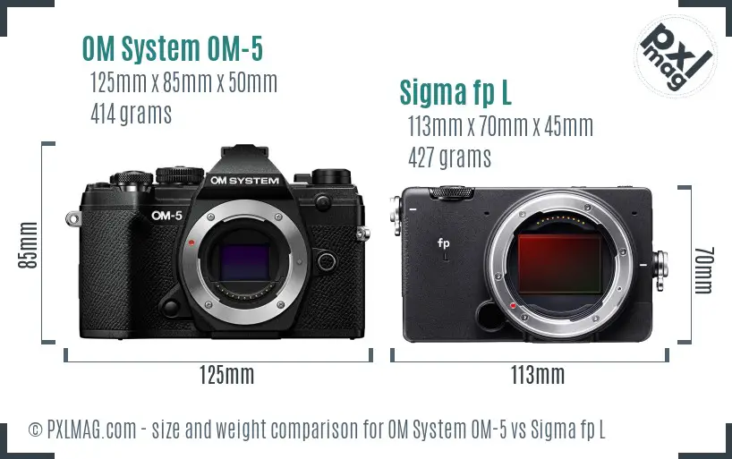 OM System OM-5 vs Sigma fp L size comparison