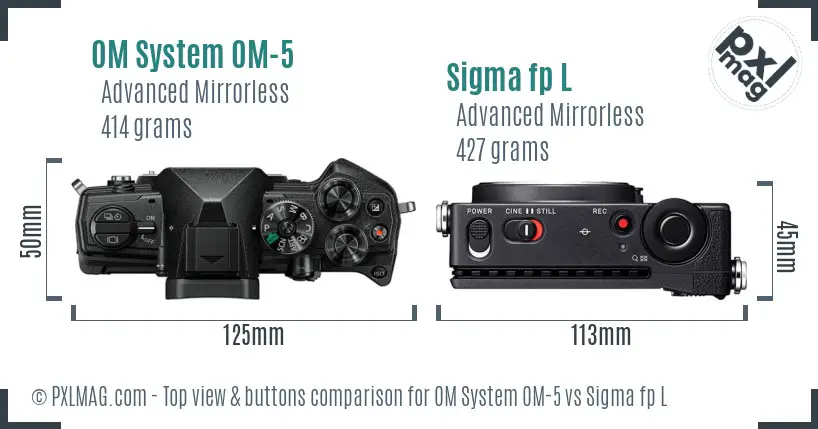 OM System OM-5 vs Sigma fp L top view buttons comparison
