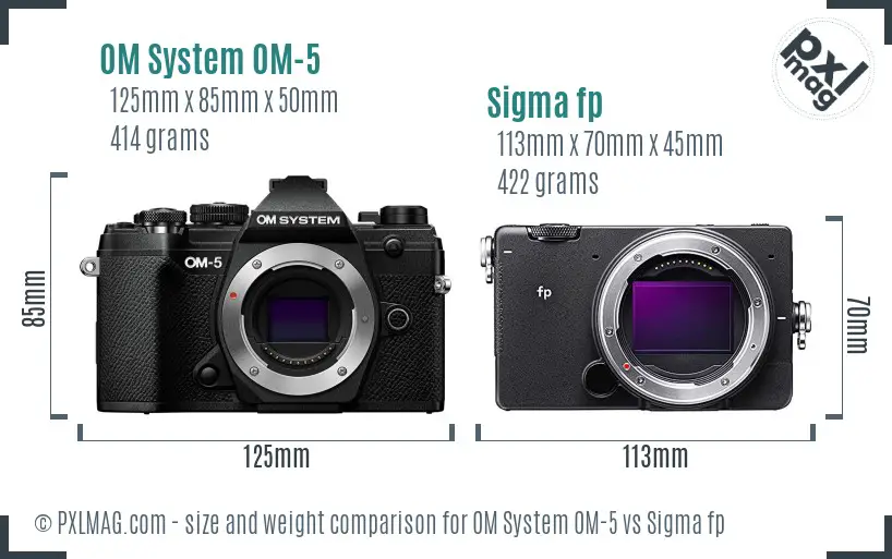 OM System OM-5 vs Sigma fp size comparison