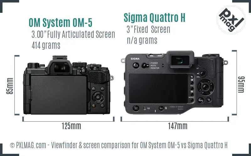OM System OM-5 vs Sigma Quattro H Screen and Viewfinder comparison OM System OM-5 vs Sigma Quattro H Screen and Viewfinder comparison