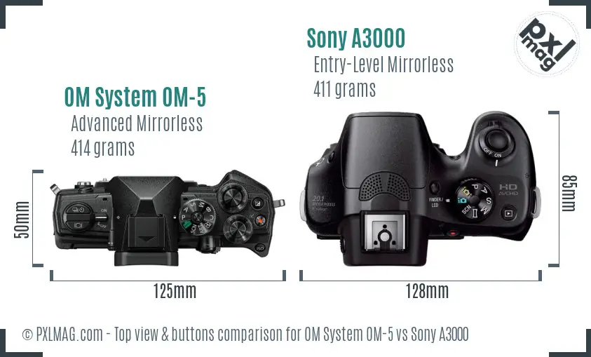 OM System OM-5 vs Sony A3000 top view buttons comparison OM System OM-5 vs Sony A3000 top view buttons comparison