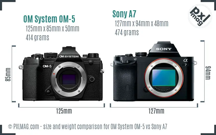 OM System OM-5 vs Sony A7 size comparison