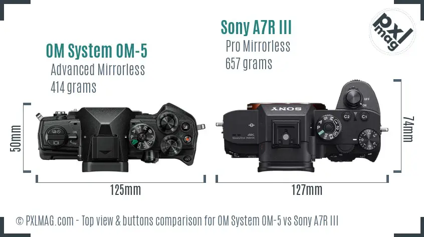 OM System OM-5 vs Sony A7R III top view buttons comparison