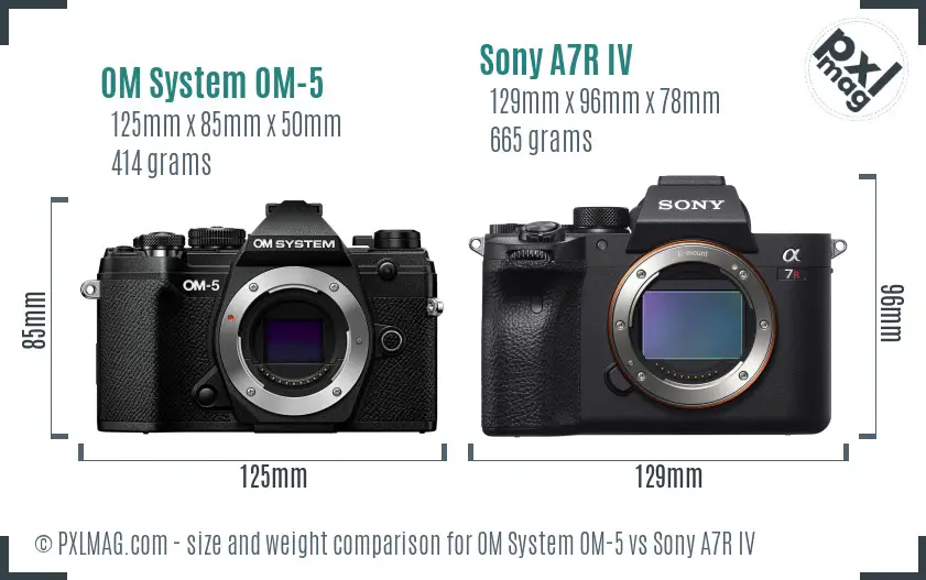 OM System OM-5 vs Sony A7R IV size comparison OM System OM-5 vs Sony A7R IV size comparison