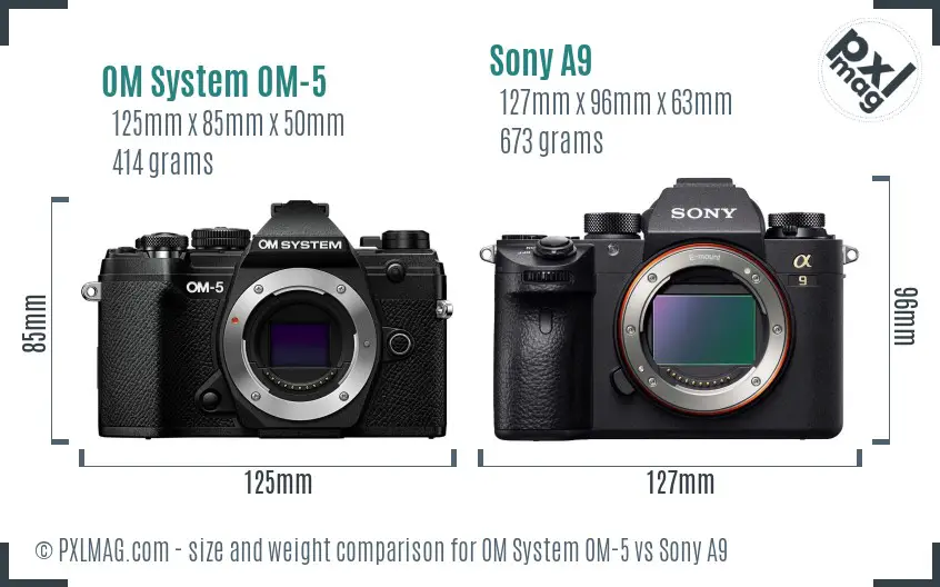 OM System OM-5 vs Sony A9 size comparison