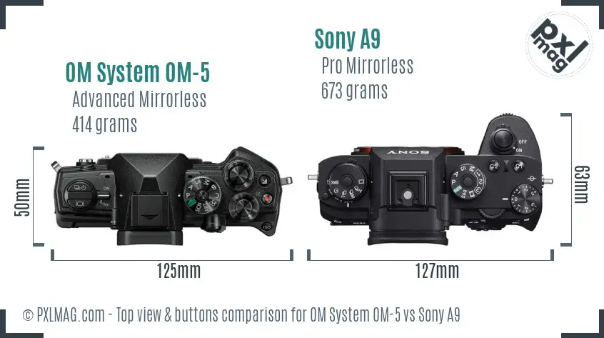 OM System OM-5 vs Sony A9 top view buttons comparison