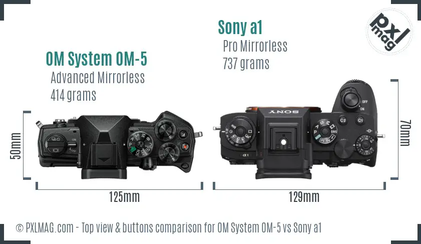 OM System OM-5 vs Sony a1 top view buttons comparison