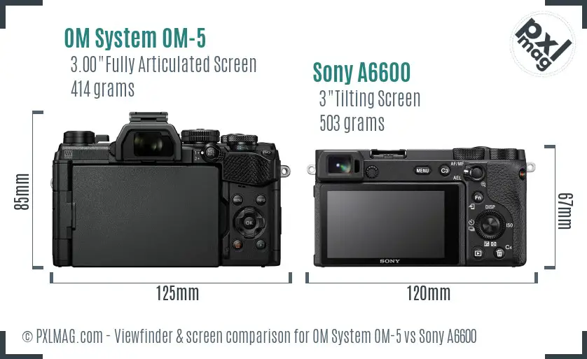 OM System OM-5 vs Sony A6600 Screen and Viewfinder comparison