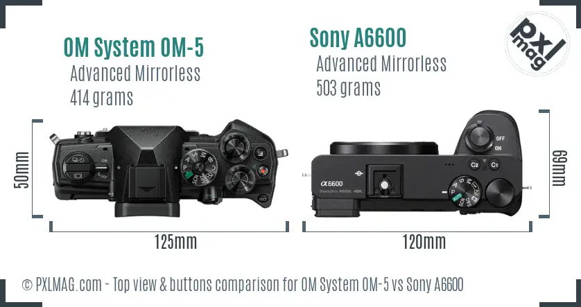 OM System OM-5 vs Sony A6600 top view buttons comparison