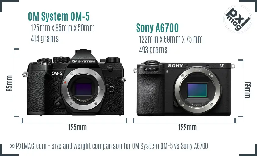 OM System OM-5 vs Sony A6700 size comparison