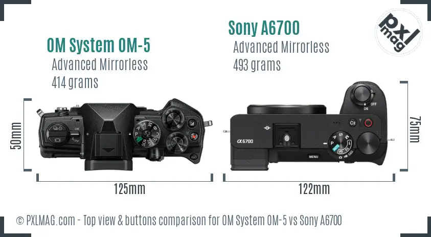 OM System OM-5 vs Sony A6700 top view buttons comparison
