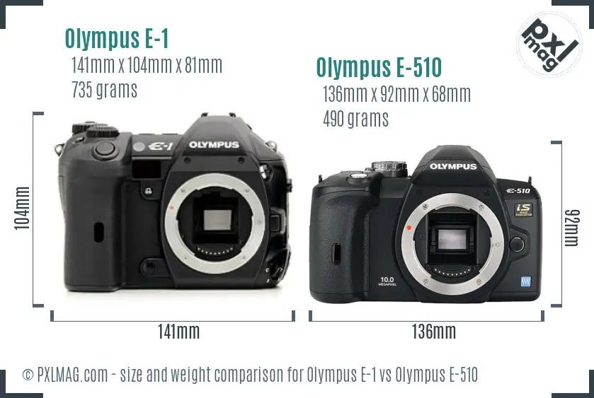 Olympus E-1 vs Olympus E-510 size comparison