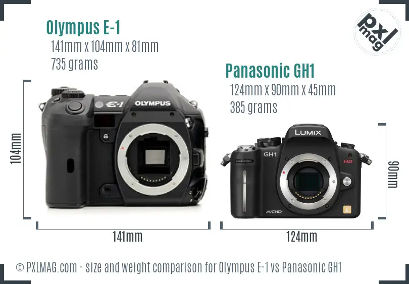 Olympus E-1 vs Panasonic GH1 size comparison