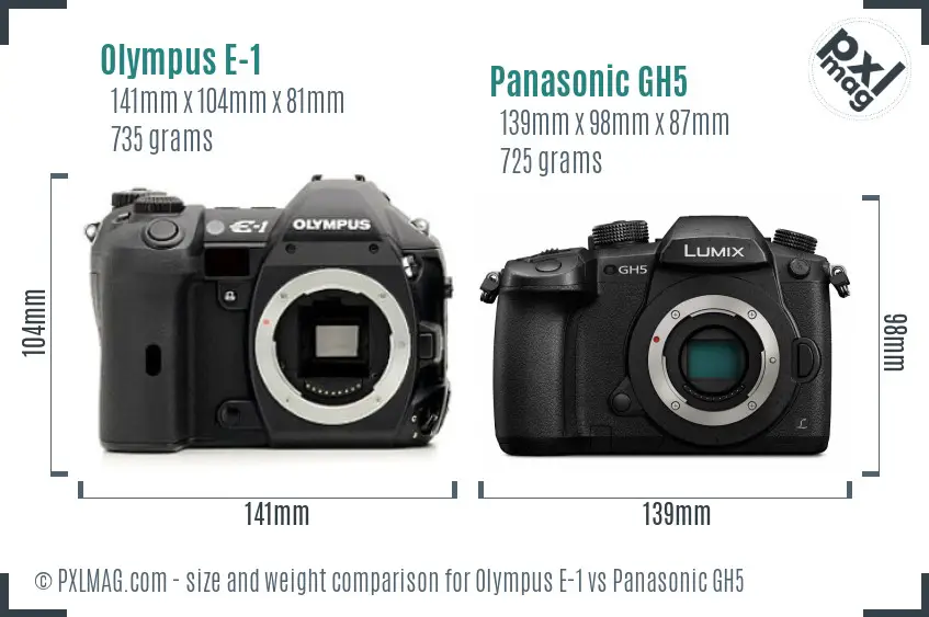 Olympus E-1 vs Panasonic GH5 size comparison