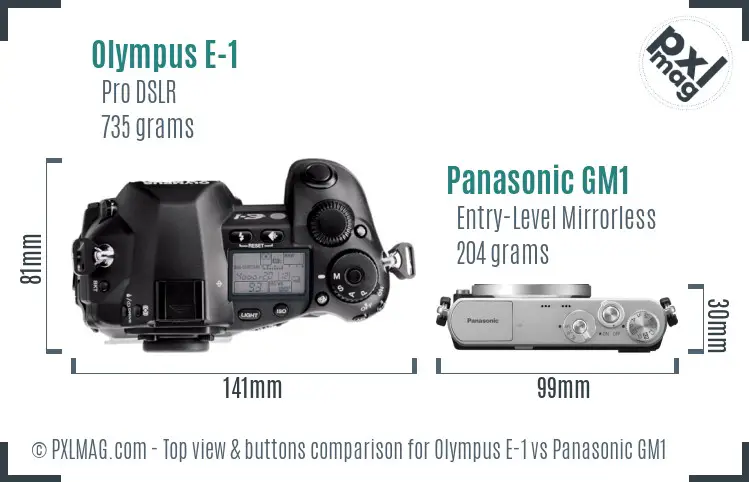 Olympus E-1 vs Panasonic GM1 top view buttons comparison Olympus E-1 vs Panasonic GM1 top view buttons comparison