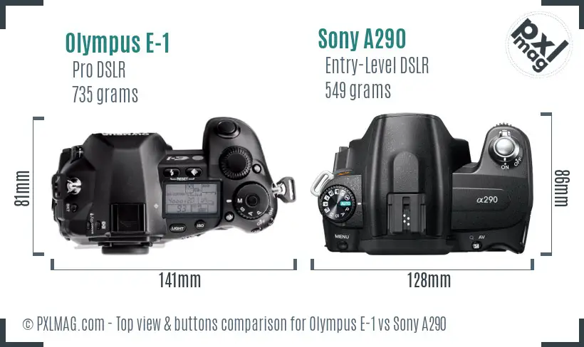 Olympus E-1 vs Sony A290 top view buttons comparison