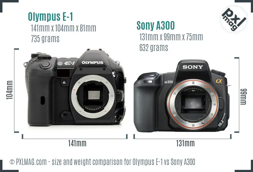 Olympus E-1 vs Sony A300 size comparison