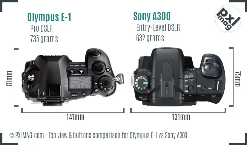 Olympus E-1 vs Sony A300 top view buttons comparison