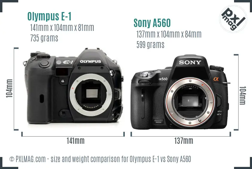 Olympus E-1 vs Sony A560 size comparison