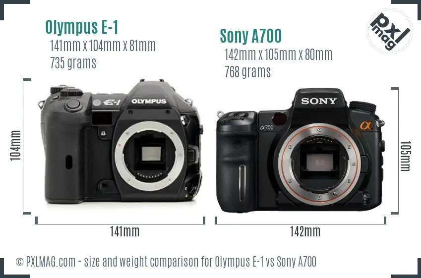 Olympus E-1 vs Sony A700 size comparison
