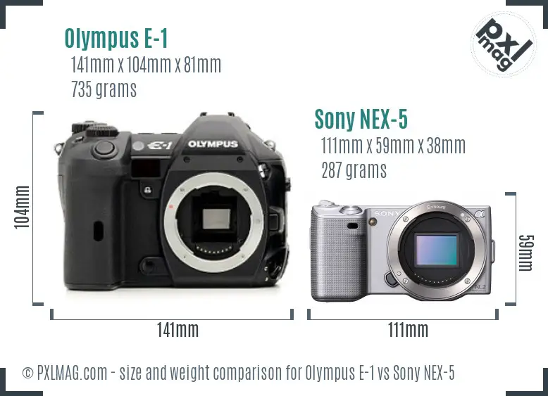 Olympus E-1 vs Sony NEX-5 size comparison