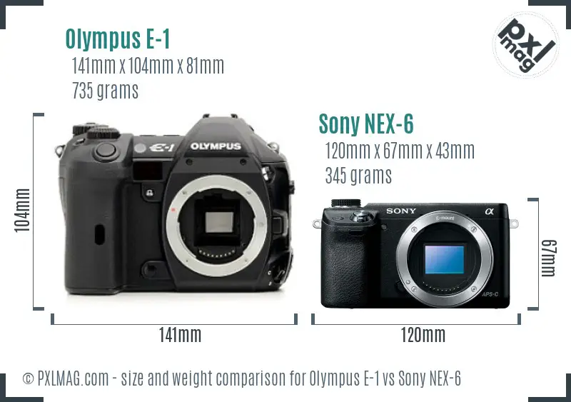 Olympus E-1 vs Sony NEX-6 size comparison