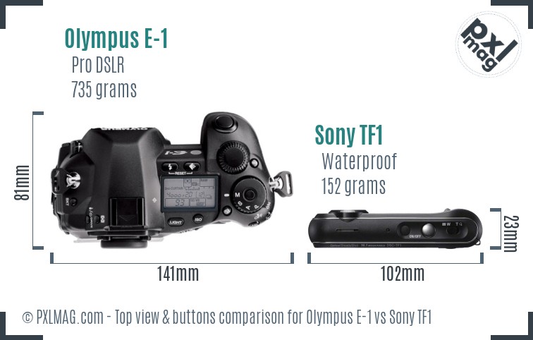 Olympus E-1 vs Sony TF1 top view buttons comparison