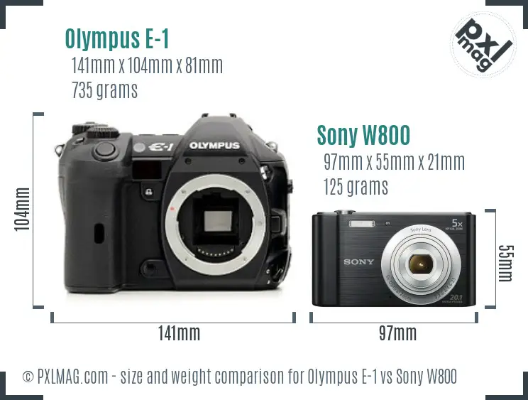 Olympus E-1 vs Sony W800 size comparison