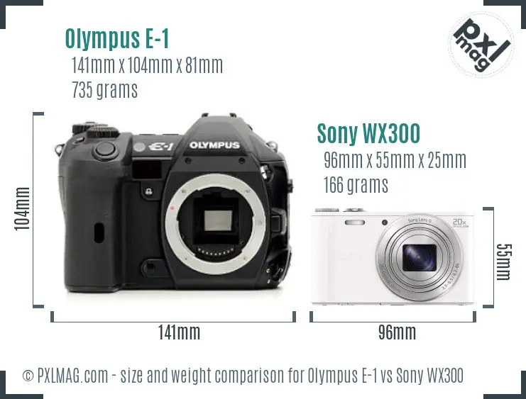 Olympus E-1 vs Sony WX300 size comparison