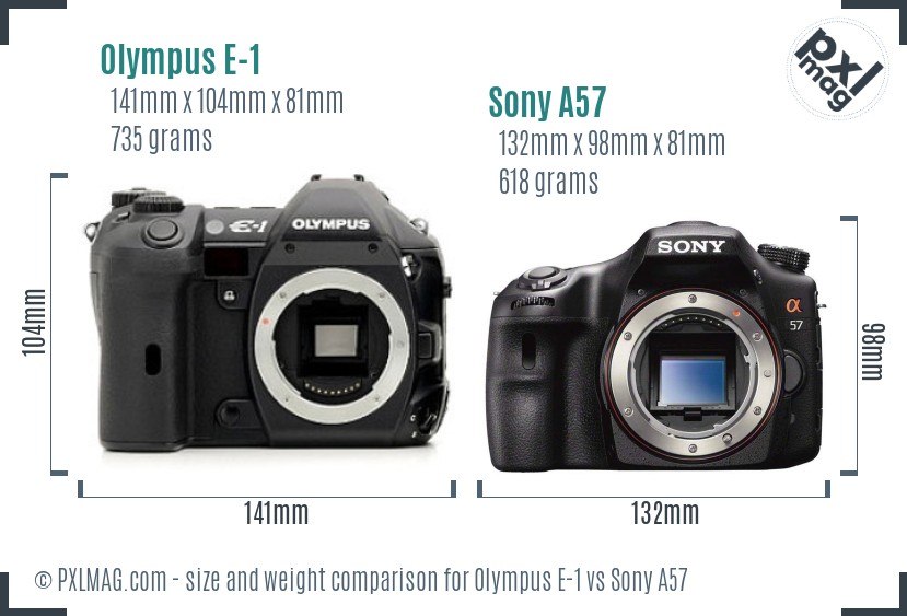 Olympus E-1 vs Sony A57 size comparison