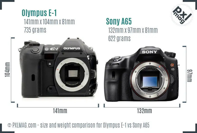 Olympus E-1 vs Sony A65 size comparison