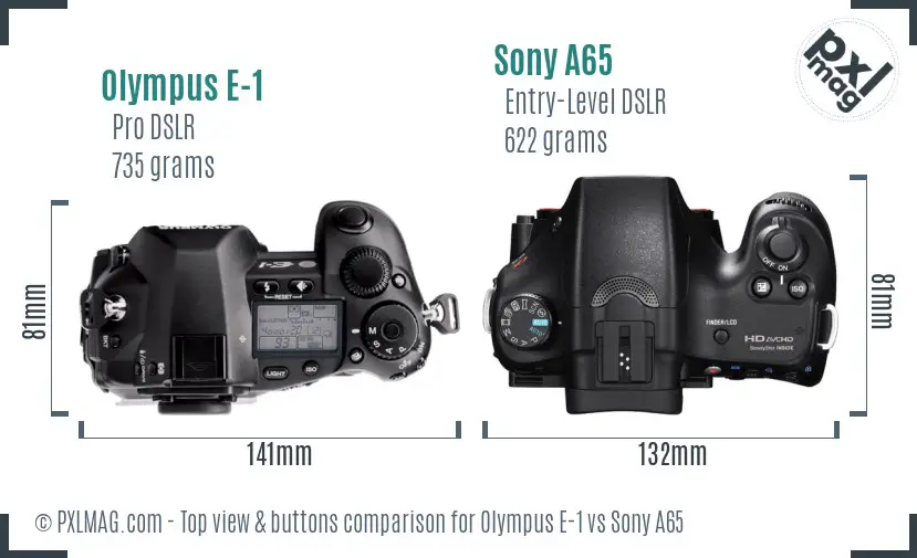 Olympus E-1 vs Sony A65 top view buttons comparison