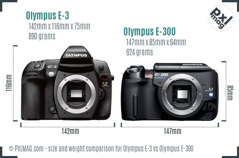 Olympus E-3 vs Olympus E-300 size comparison