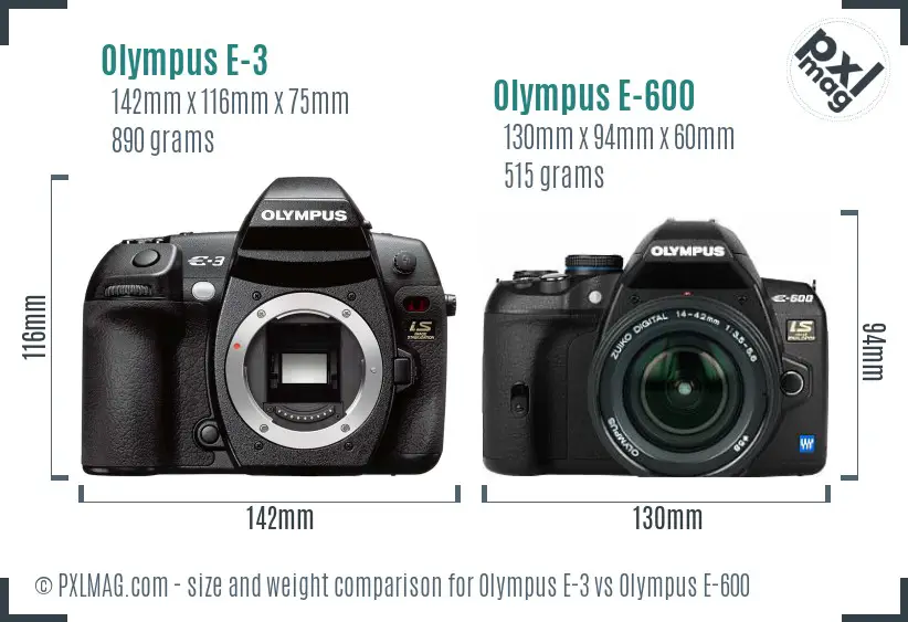 Olympus E-3 vs Olympus E-600 size comparison